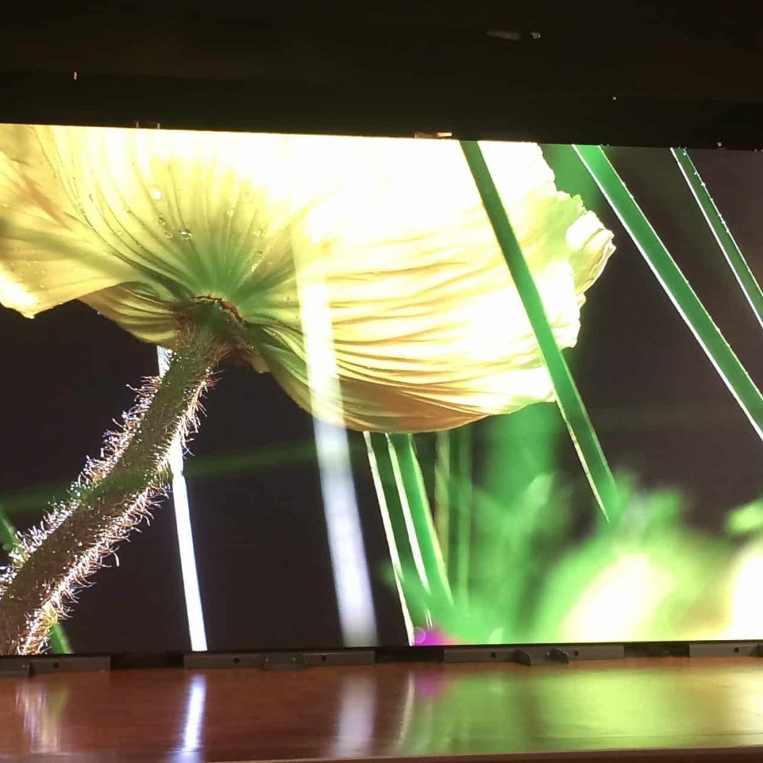 LED Videowand von Unilumin Venture auf einem Corporate Event